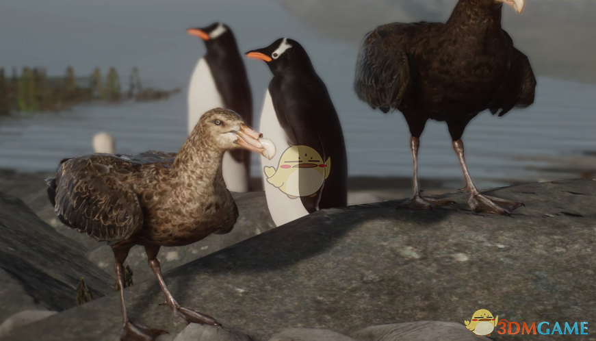 《动物园之星》新物种南方大海燕MOD