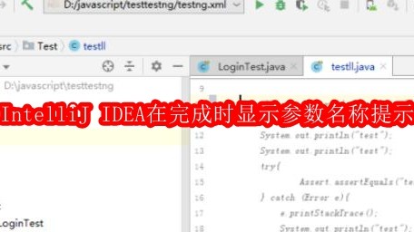 IntelliJ IDEA怎样设置在完成时显示参数名称提示