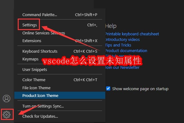 vscode怎么设置未知属性