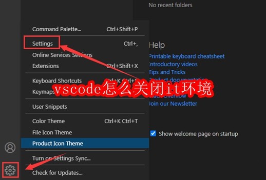 vscode怎么关闭it环境