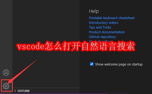 vscode怎么打开自然语言搜索