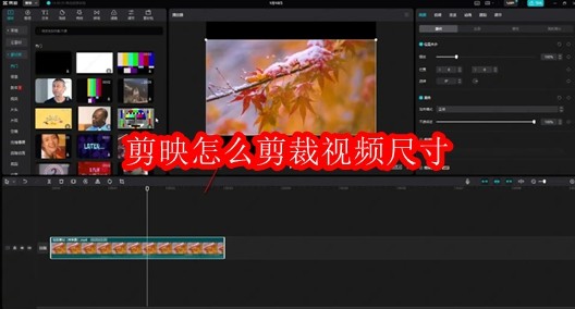 剪映怎么剪裁视频尺寸