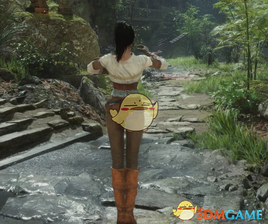 《明末：渊虚之羽》无常的巫师3希里服装MOD