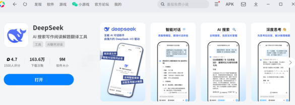 DeepSeek深度思考和联网搜索都是什么意思