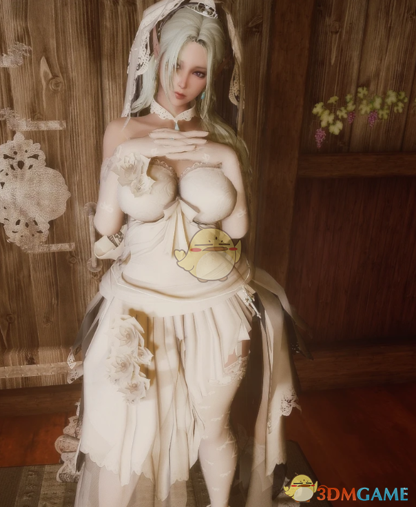 《上古卷轴5：天际重制版》纯白婚纱MOD