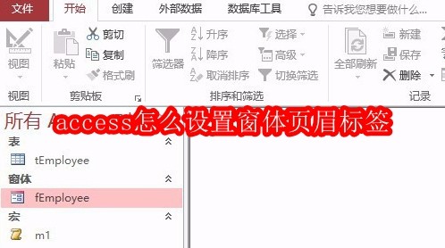 access怎么设置窗体页眉标签