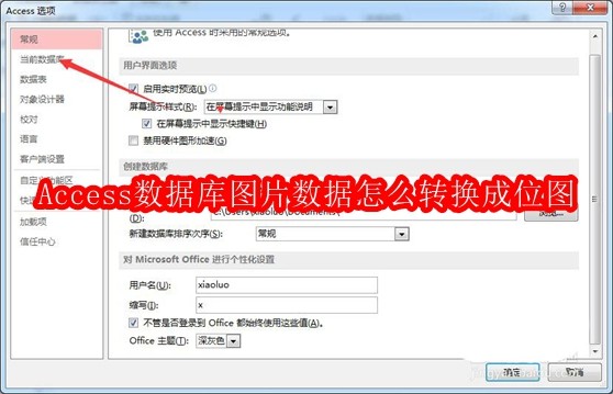 Access数据库图片数据怎么转换成位图