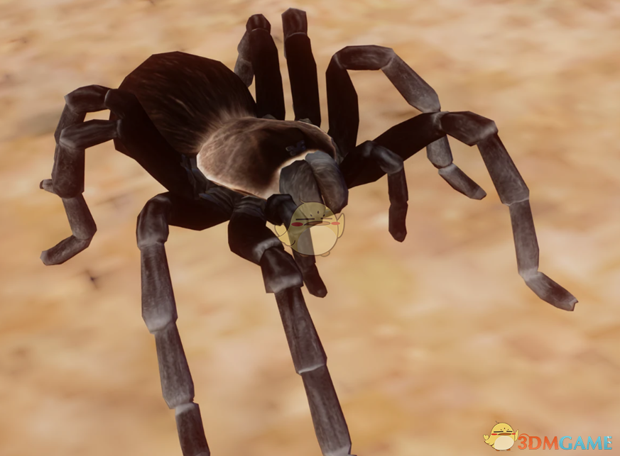 《动物园之星》新物种尤卡坦狼蛛MOD