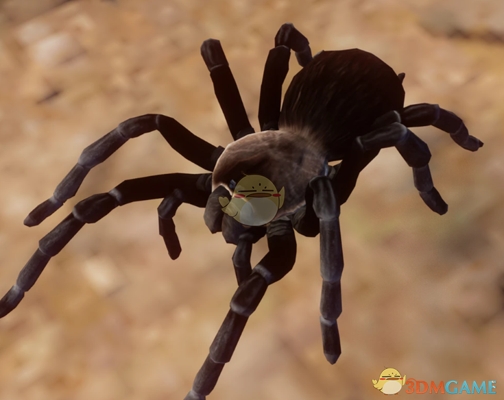 《动物园之星》新物种尤卡坦狼蛛MOD