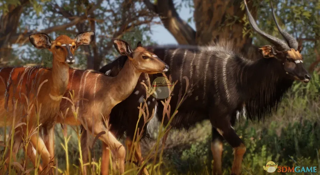 《动物园之星》重制南非羚羊MOD