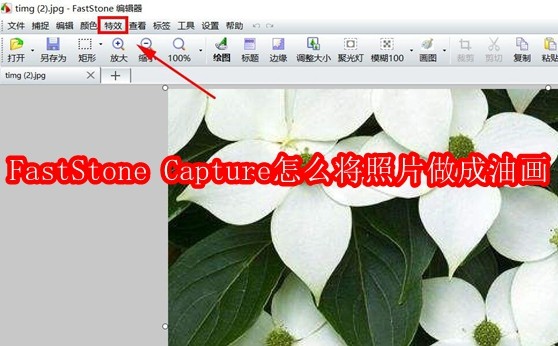FastStone Capture怎么将照片做成油画