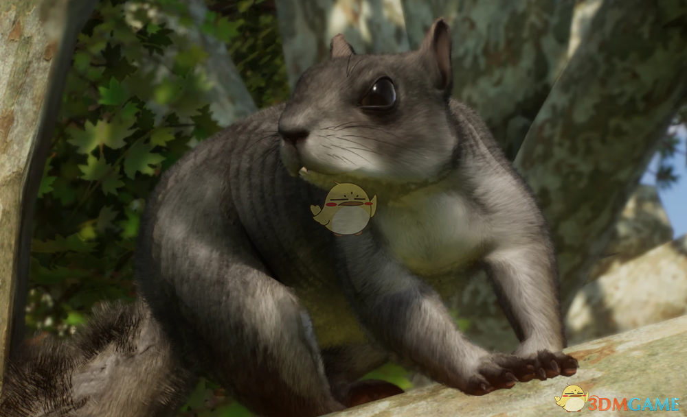 《动物园之星》新物种西部灰松鼠MOD