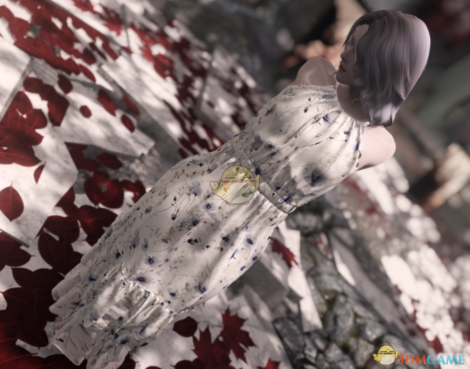 《上古卷轴5：天际重制版》FP碎花连衣裙MOD