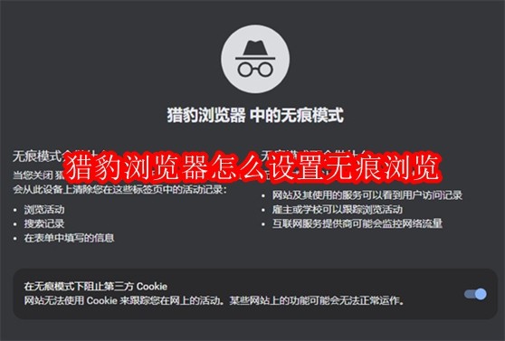 猎豹浏览器怎么设置无痕浏览