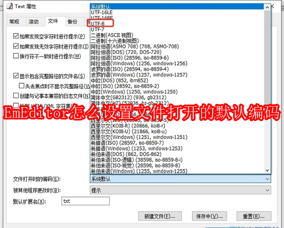 EmEditor怎么设置文件打开的默认编码