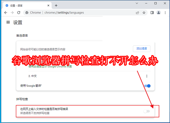 谷歌浏览器拼写检查打不开怎么办