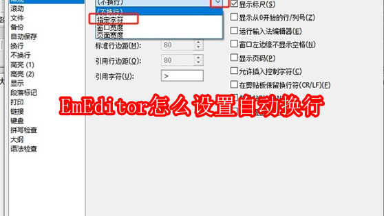 EmEditor怎么设置自动换行