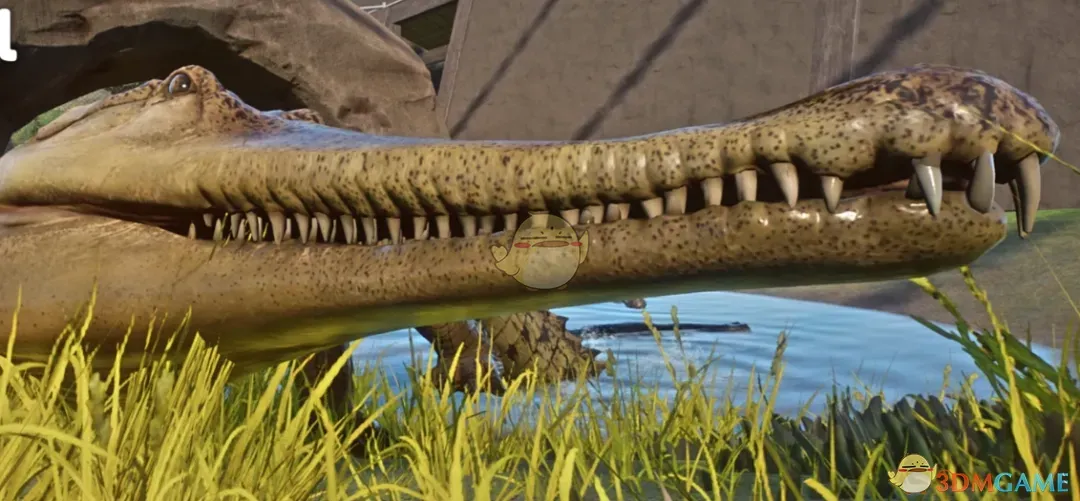 《动物园之星》新物种马来短吻鳄MOD