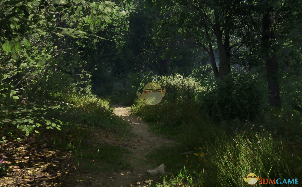 《天国：拯救2》更干净的视觉效果MOD