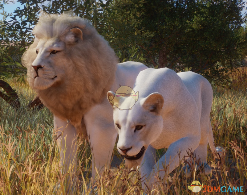 《动物园之星》新物种白狮MOD