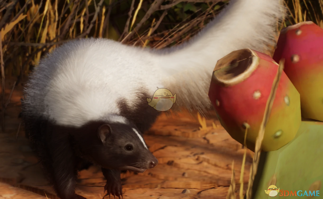 《动物园之星》新物种北美臭鼬MOD