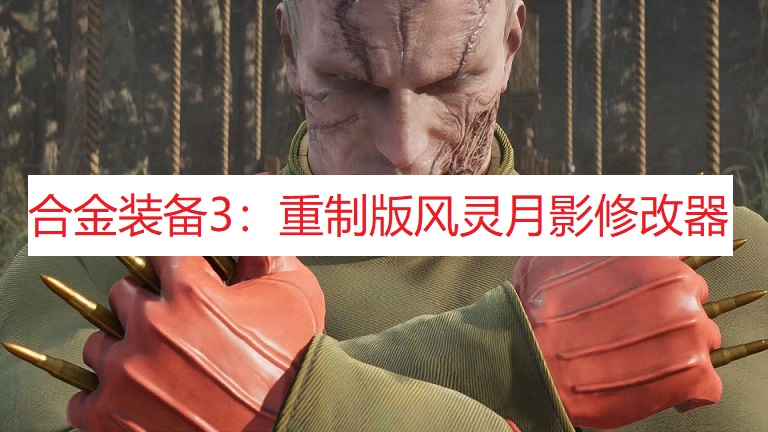 《合金装备3：重制版》风灵月影修改器