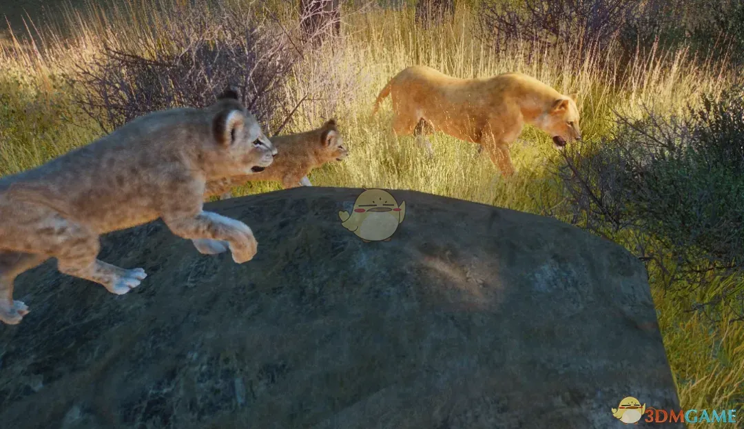 《动物园之星》新物种刚果狮MOD