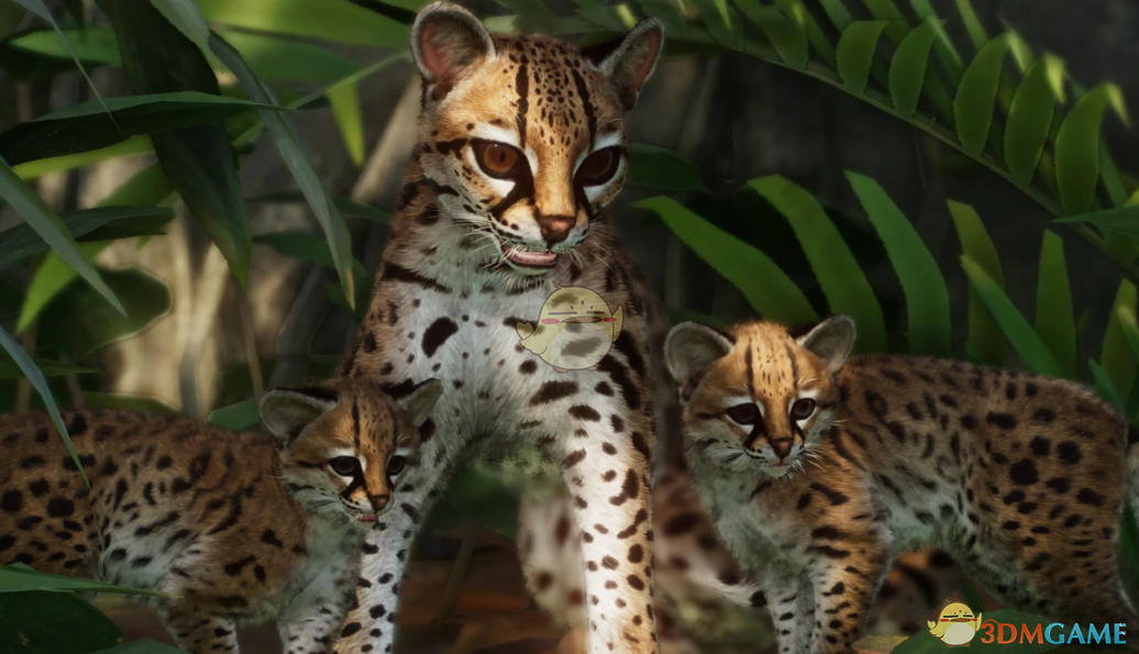 《动物园之星》新物种长尾猫MOD