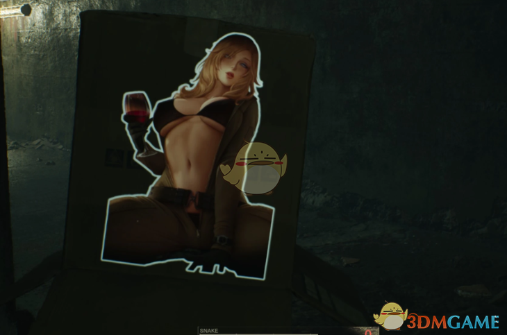 《合金装备3：重制版》性感EVA木箱MOD