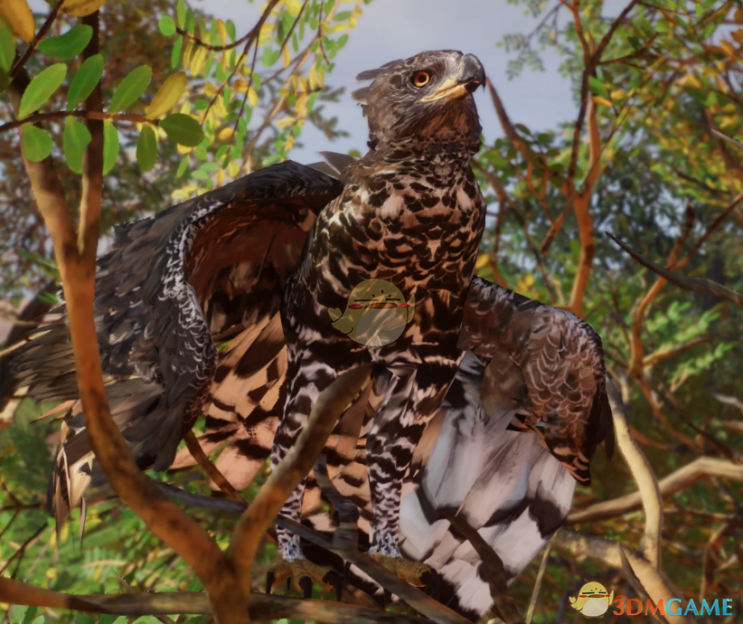 《动物园之星》新物种冠鹰雕MOD