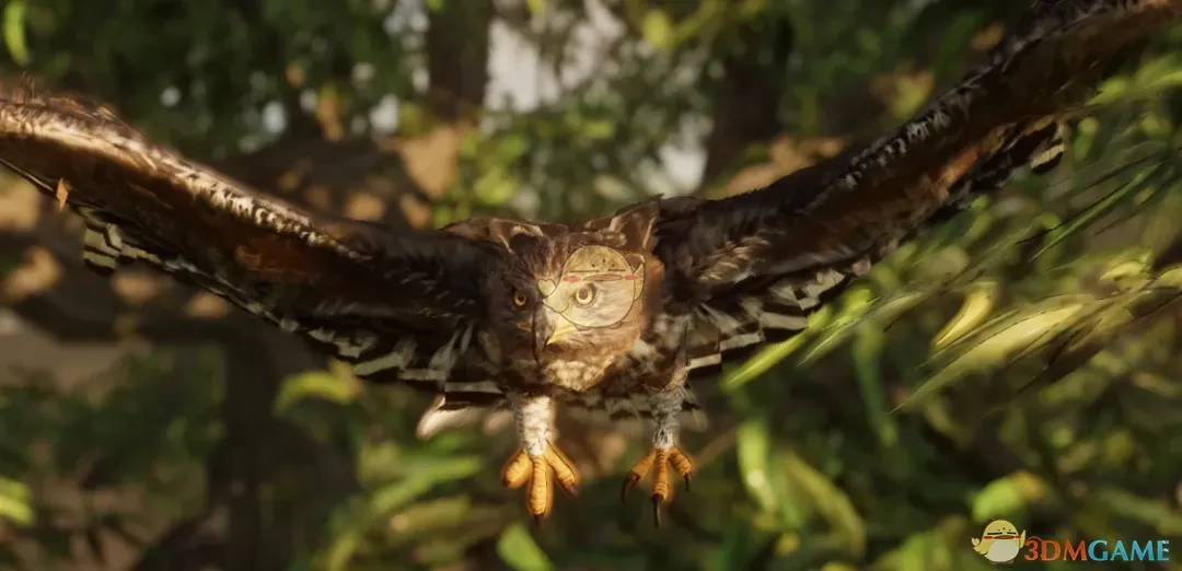 《动物园之星》新物种冠鹰雕MOD