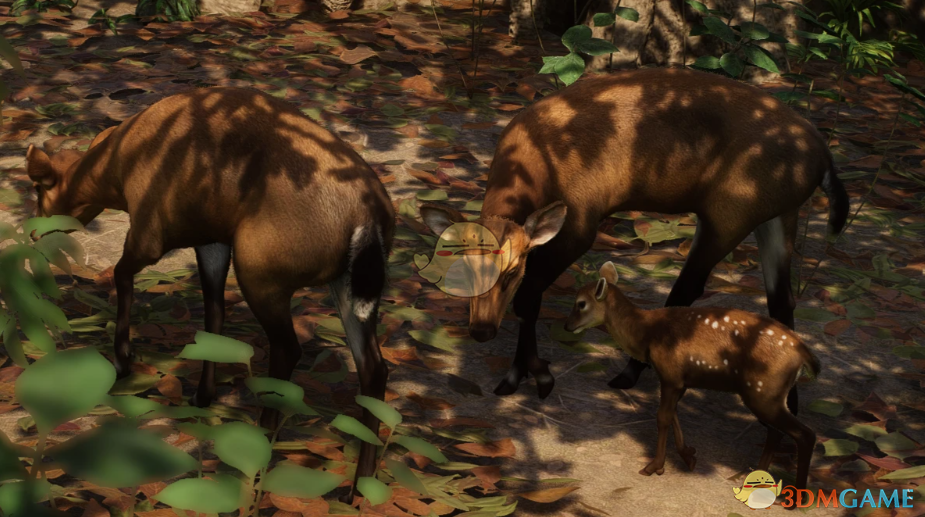《动物园之星》新物种越南大麂MOD