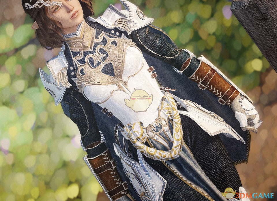 《上古卷轴5：天际重制版》木卫四协议装甲MOD