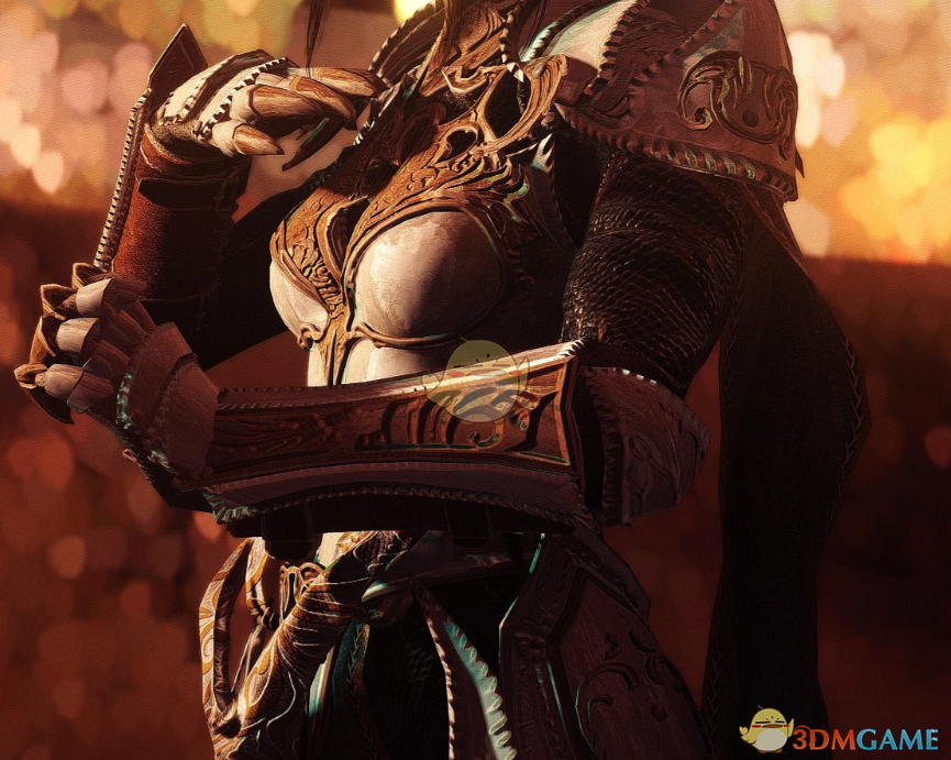 《上古卷轴5：天际重制版》木卫四协议装甲MOD