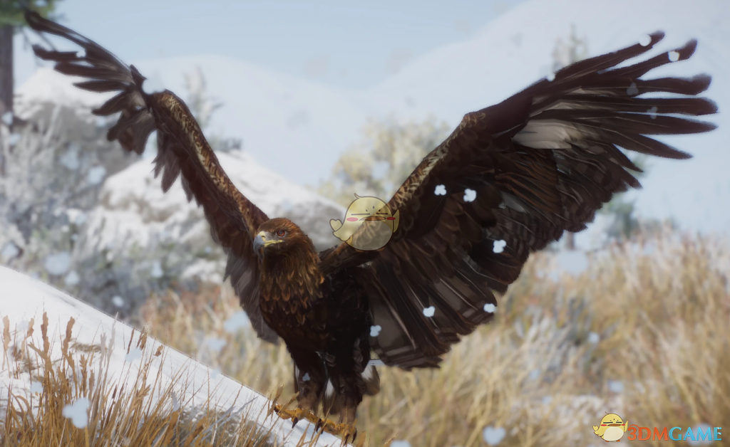 《动物园之星》新物种金雕MOD