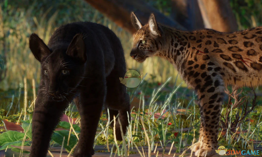 《动物园之星》新物种夜莺间猫MOD