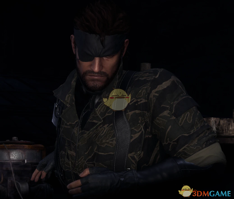 《生化危机4：重制版》合金装备3斯内克替换里昂MOD