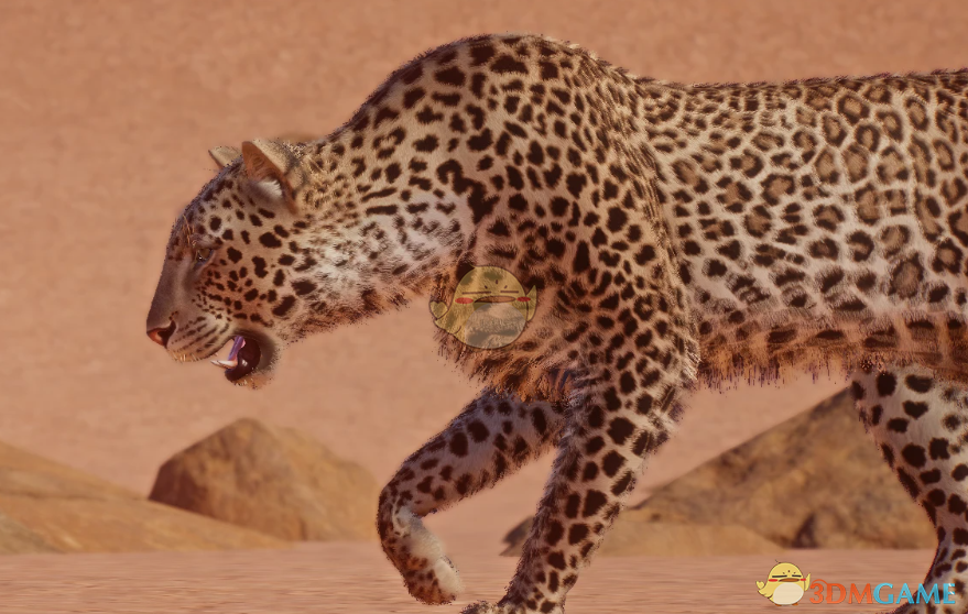 《动物园之星》新物种阿拉伯豹MOD