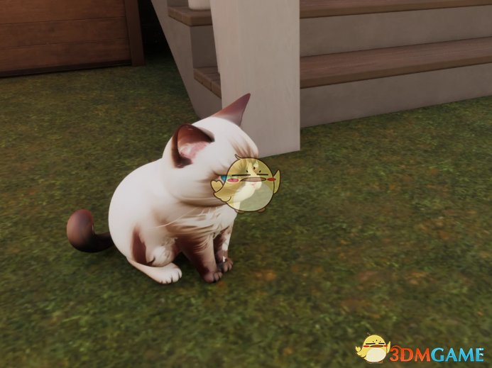 《InZOI》暴躁小猫雕像MOD