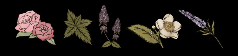 《Sips and Sonnets》免安装版