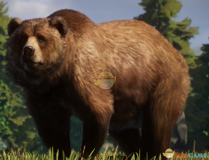 《动物园之星》新物种科迪亚克岛棕熊MOD