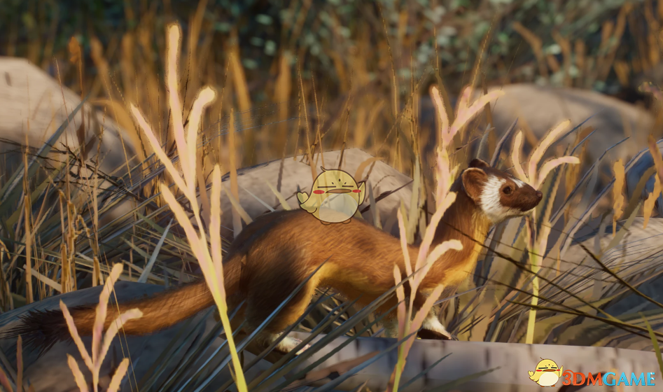 《动物园之星》新物种长尾鼬MOD