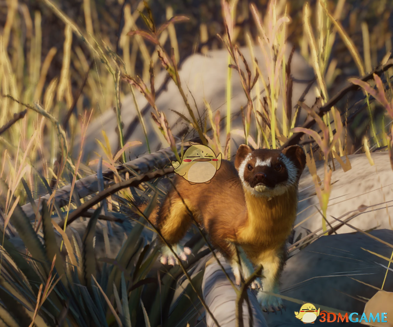 《动物园之星》新物种长尾鼬MOD