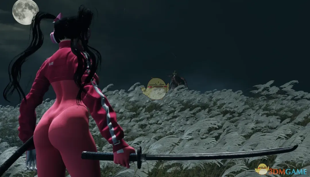 《只狼：影逝二度》剑星冷却服伊芙替换狼模型MOD