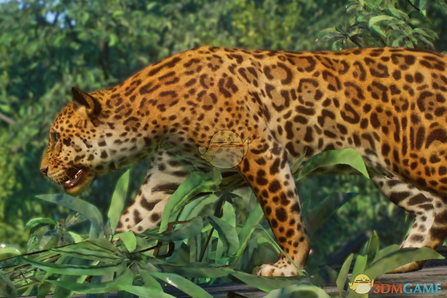 《动物园之星》新物种美洲虎MOD