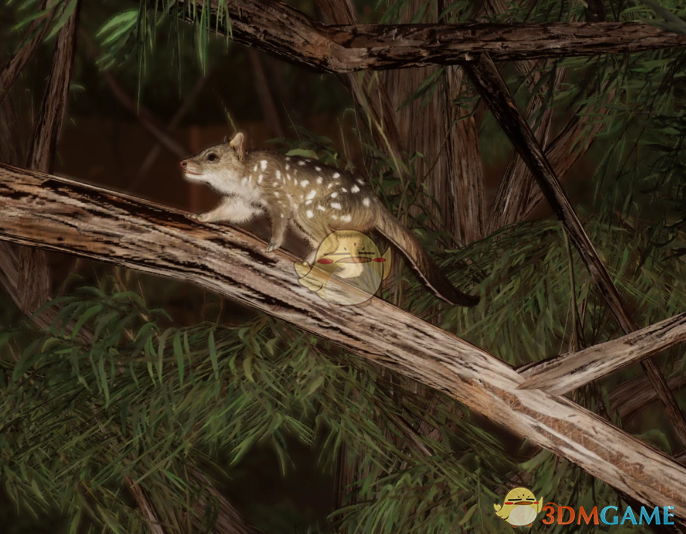 《动物园之星》新物种西部袋鼬MOD