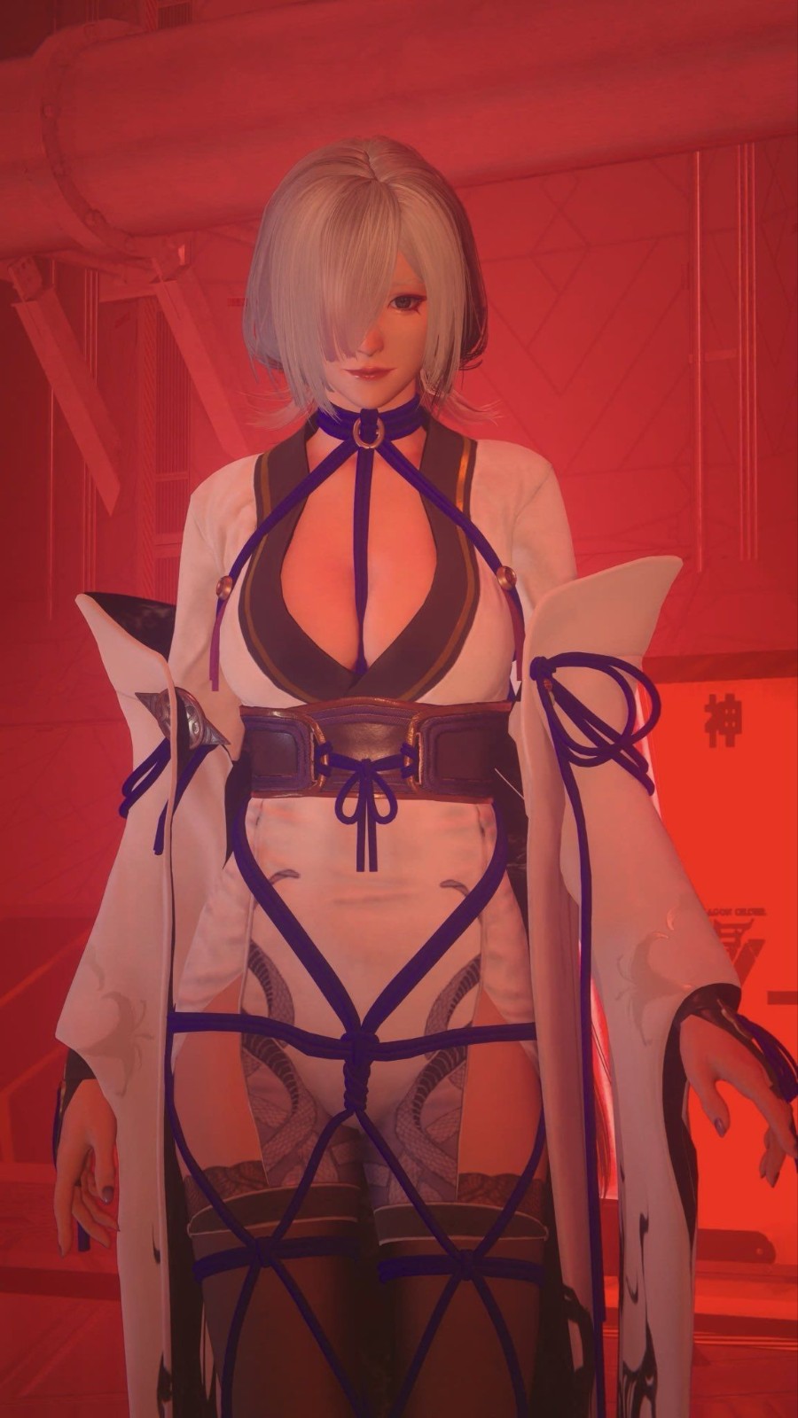 《忍者龙剑传4》Seori隼龙绫音艺术图 非常棒啊！