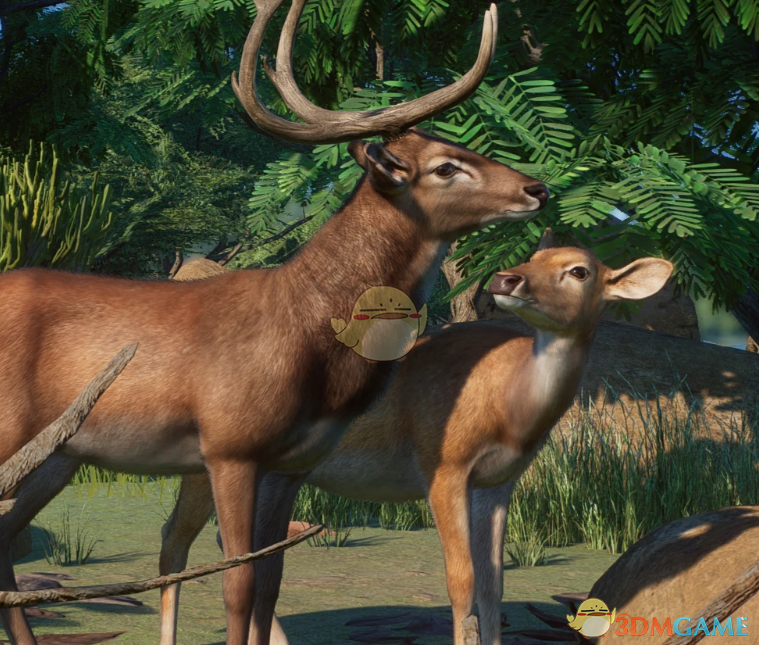 《动物园之星》新物种坡鹿MOD