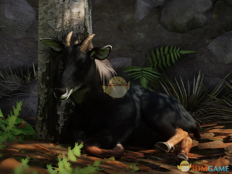 《动物园之星》新物种苏门羚MOD