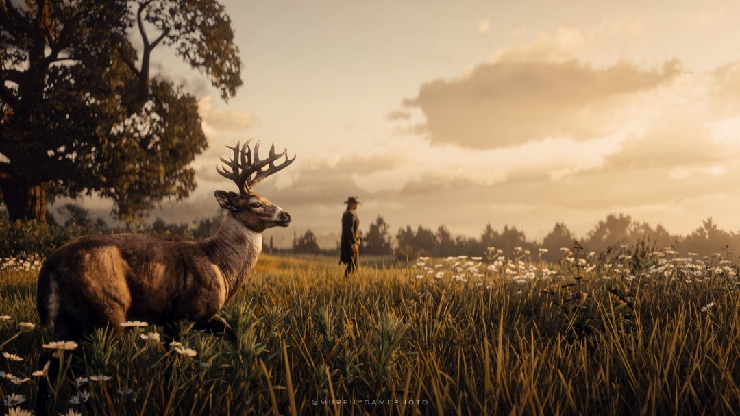 R星创始人透露《荒野大镖客2》曾为亚瑟设定丧子之痛